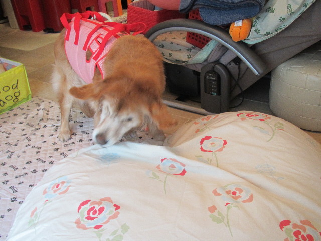 ファイル 2453-1.jpg