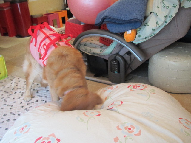 ファイル 2453-2.jpg