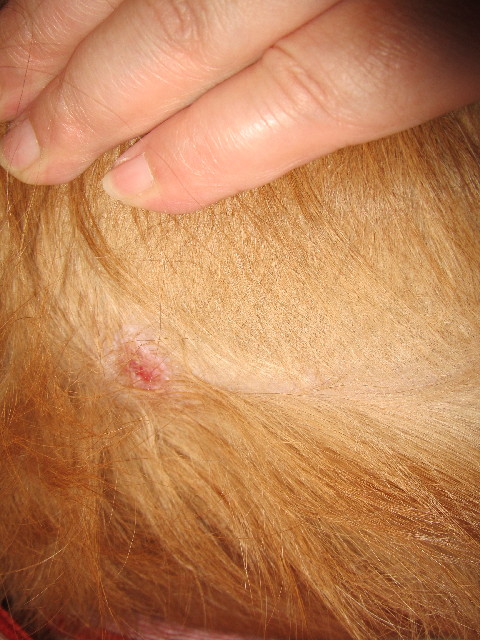 ファイル 2453-4.jpg