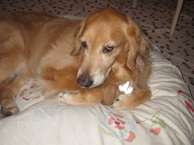 ファイル 2453-5.jpg