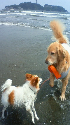 ファイル 2456-3.jpg