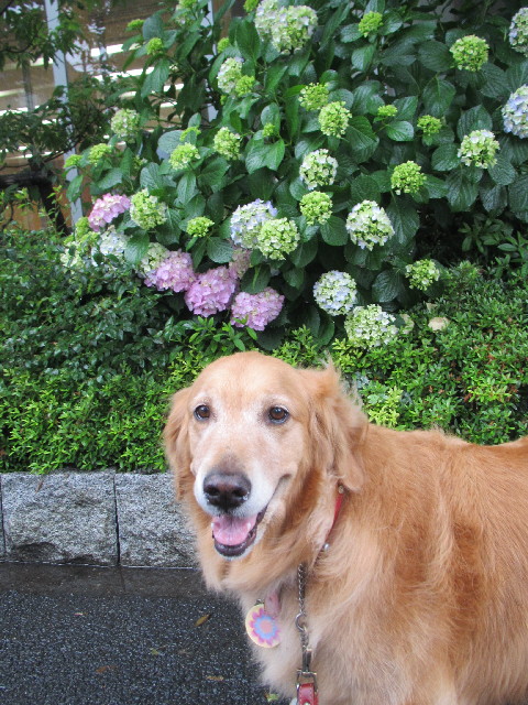 ファイル 2458-5.jpg