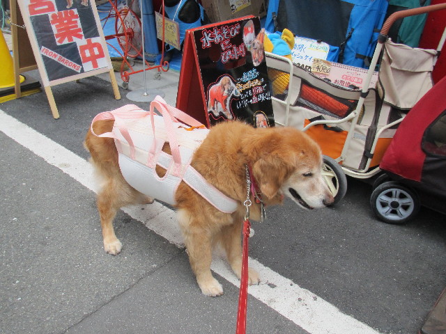 ファイル 2459-3.jpg