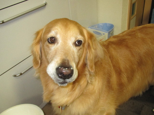 ファイル 2459-4.jpg