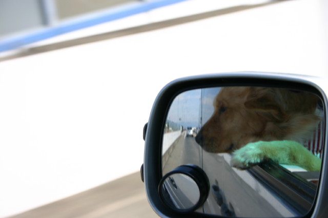 ファイル 246-1.jpg