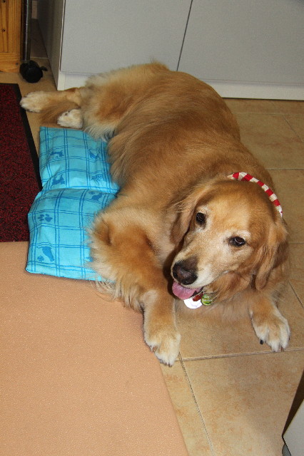 ファイル 2460-1.jpg