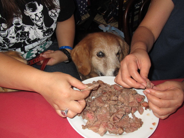 ファイル 2461-3.jpg