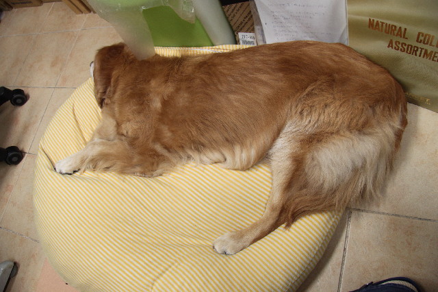 ファイル 2463-4.jpg