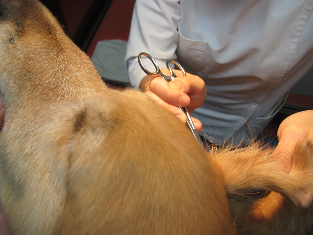 ファイル 2467-3.jpg