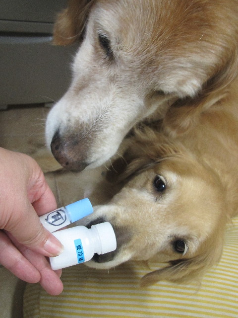 ファイル 2467-4.jpg