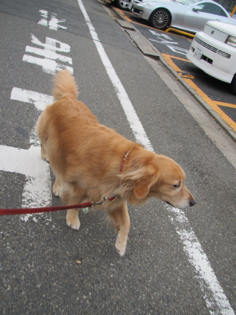 ファイル 2467-5.jpg