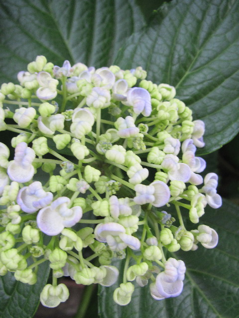 ファイル 2468-4.jpg