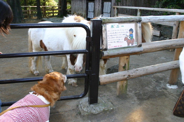 ファイル 247-2.jpg