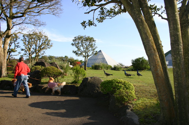 ファイル 247-5.jpg