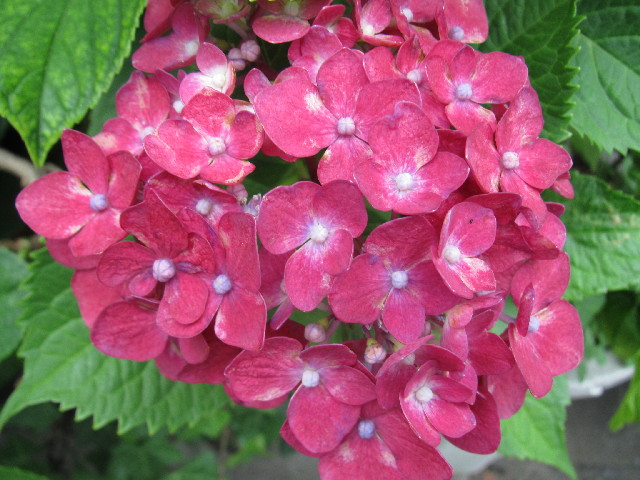 ファイル 2471-4.jpg