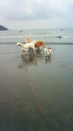 ファイル 2472-1.jpg