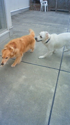 ファイル 2472-4.jpg