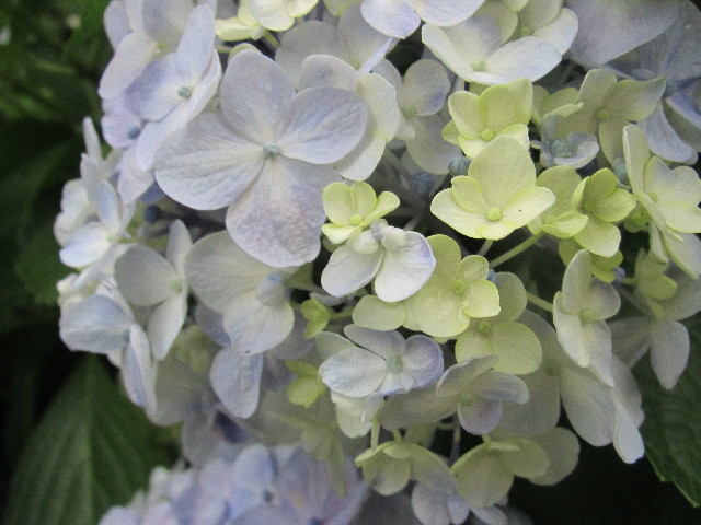 ファイル 2477-4.jpg