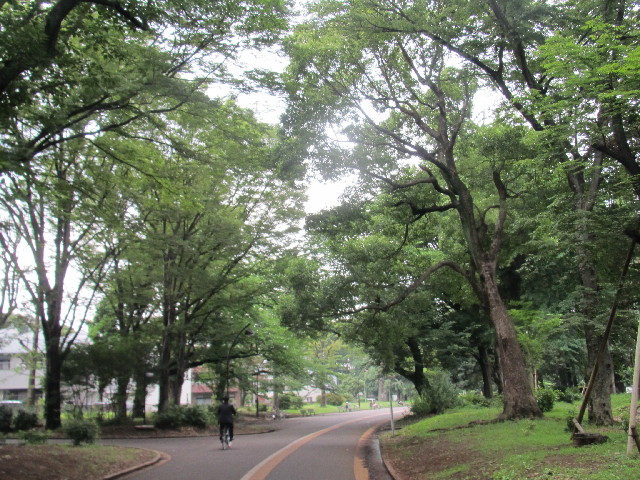 ファイル 2478-1.jpg