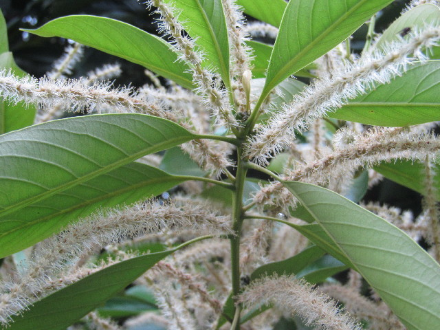 ファイル 2478-3.jpg