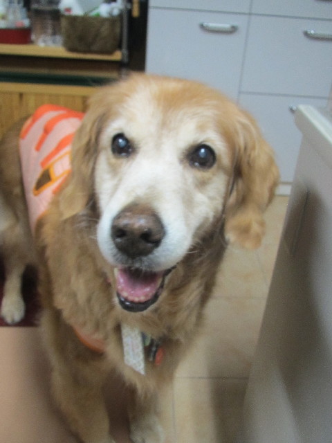 ファイル 2479-2.jpg