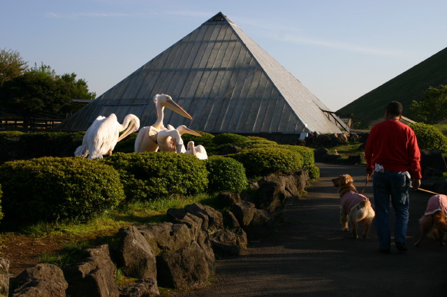 ファイル 248-1.jpg