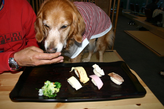 ファイル 248-4.jpg