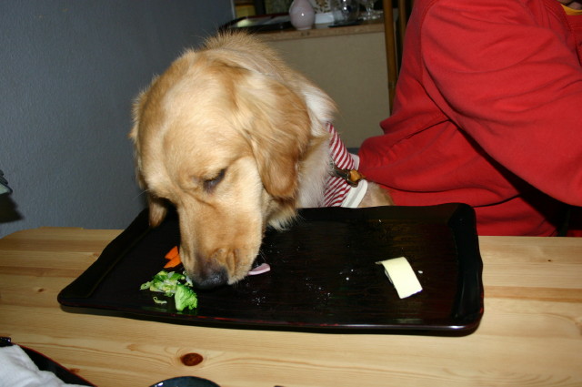 ファイル 248-5.jpg