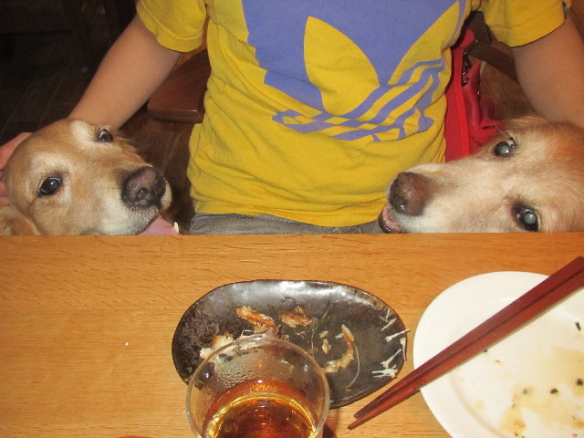 ファイル 2480-2.jpg