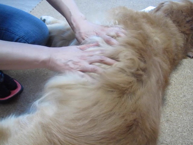 ファイル 2484-4.jpg