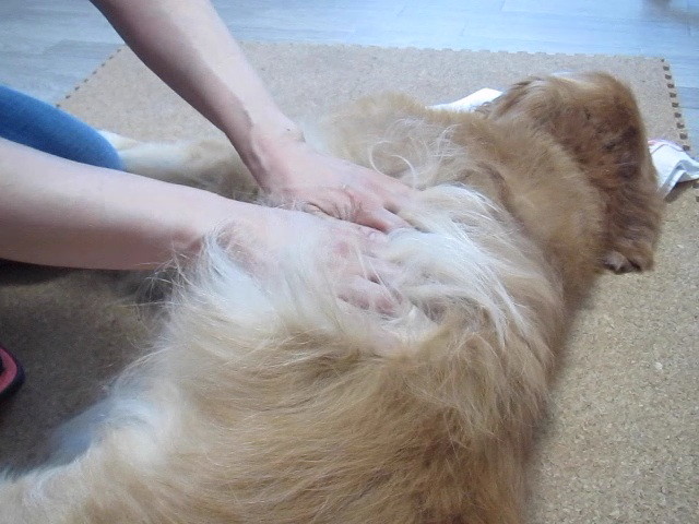 ファイル 2484-5.jpg