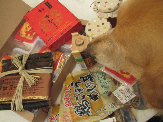 ファイル 2487-2.jpg