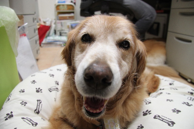 ファイル 2487-5.jpg