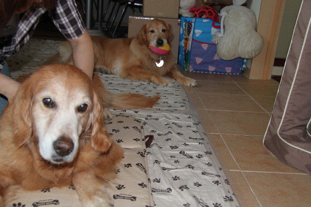 ファイル 2488-4.jpg