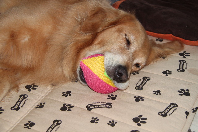 ファイル 2488-5.jpg