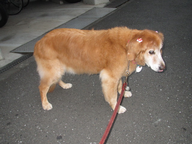 ファイル 2489-3.jpg