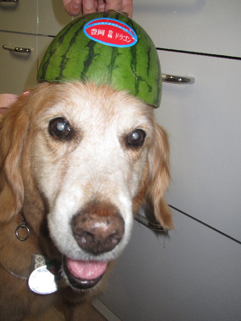 ファイル 2489-5.jpg