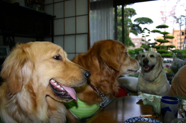 ファイル 249-2.jpg