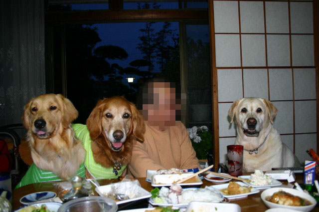 ファイル 249-3.jpg