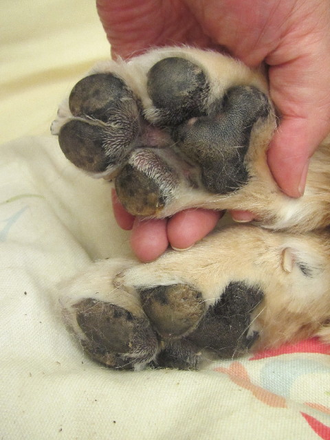 ファイル 2491-1.jpg