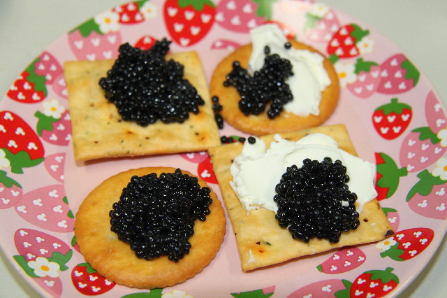 ファイル 2492-1.jpg