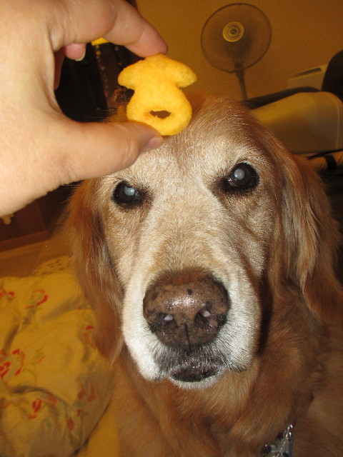 ファイル 2493-4.jpg