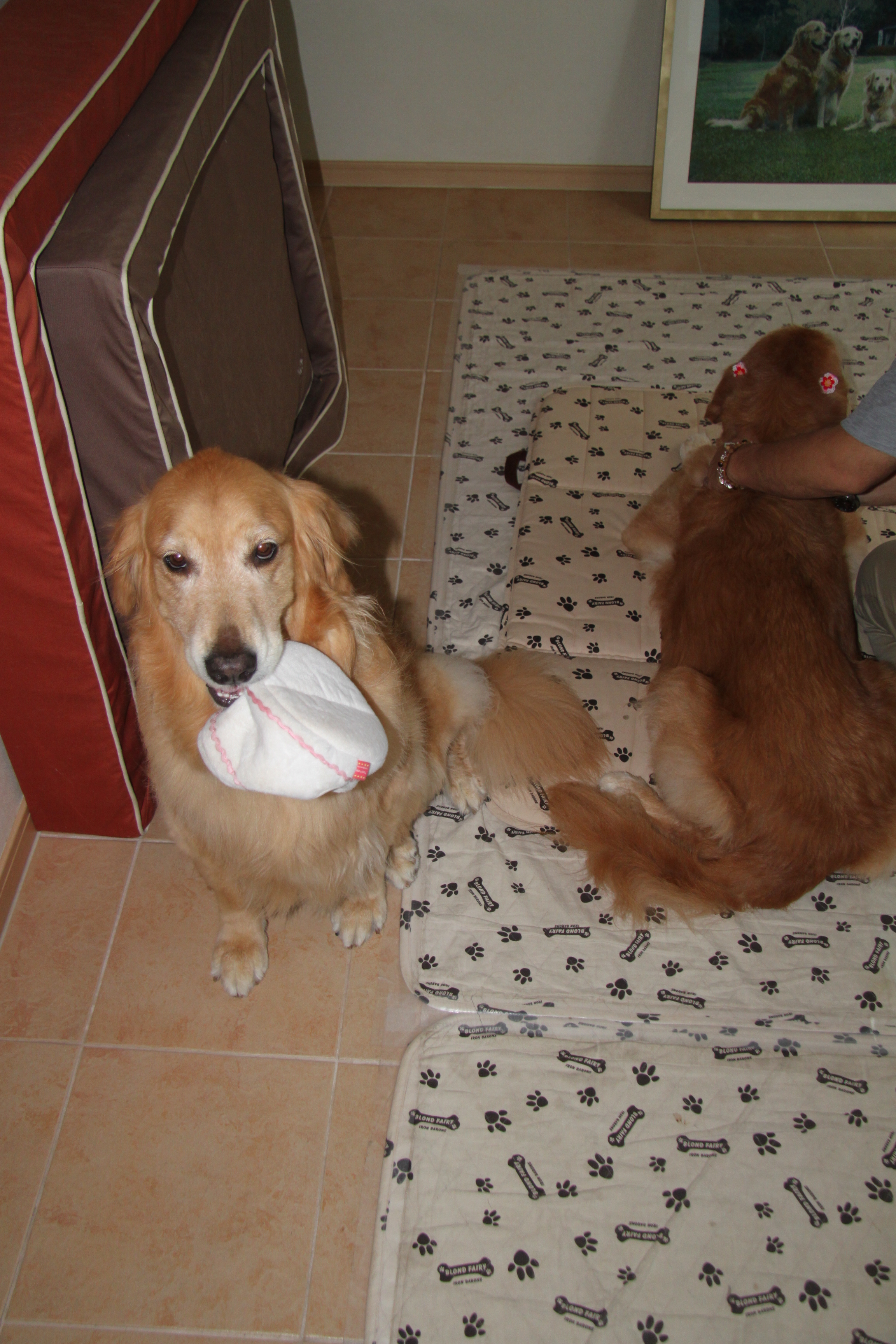 ファイル 2494-2.jpg