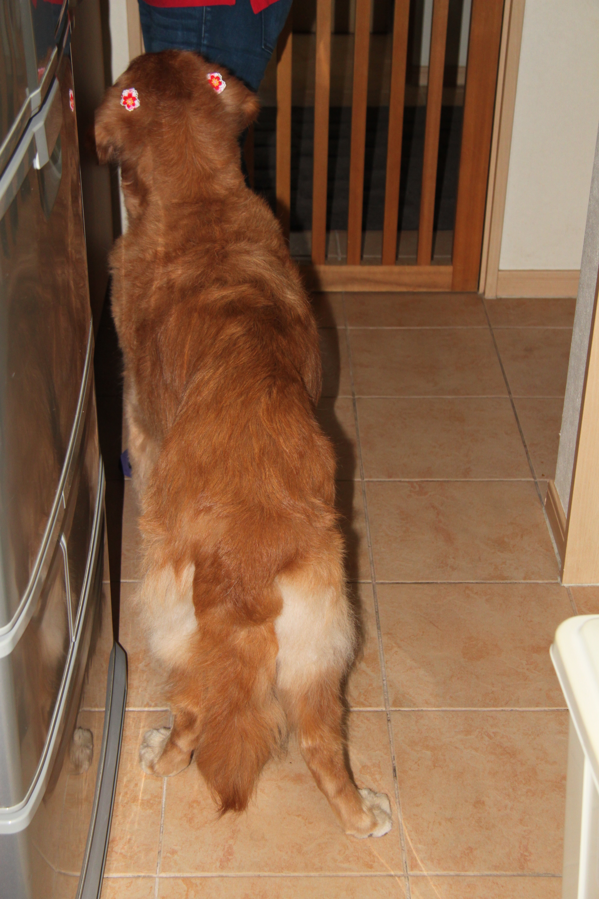 ファイル 2494-3.jpg