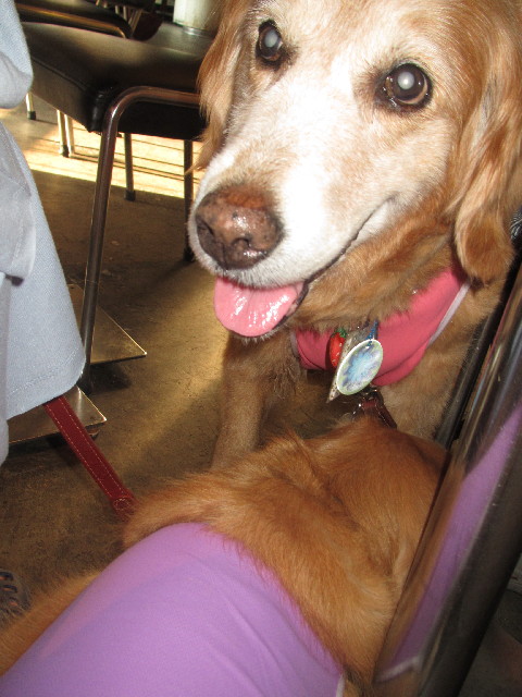 ファイル 2495-4.jpg