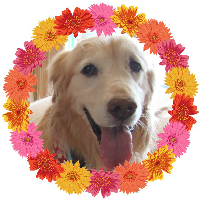 ファイル 2496-1.jpg