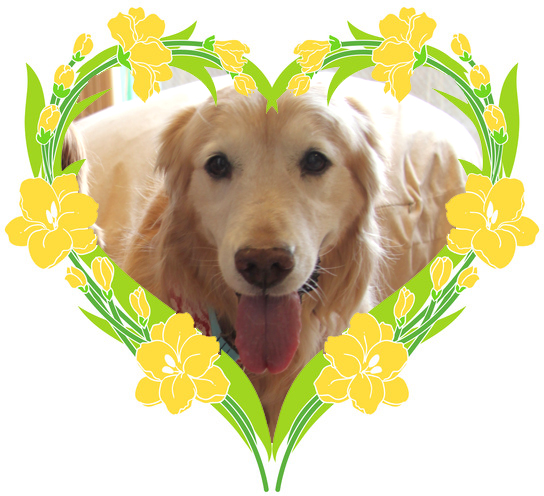 ファイル 2496-4.jpg