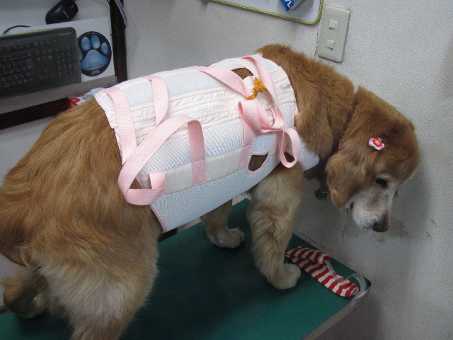 ファイル 2497-2.jpg