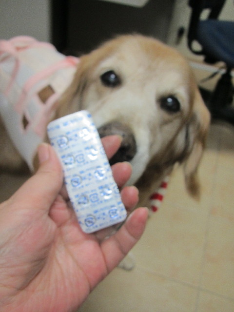 ファイル 2497-4.jpg