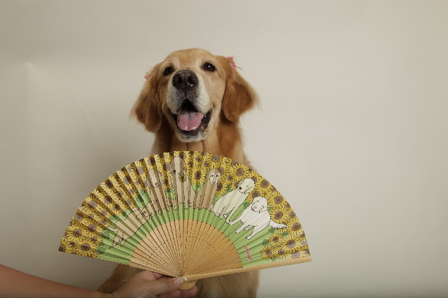 ファイル 2498-4.jpg